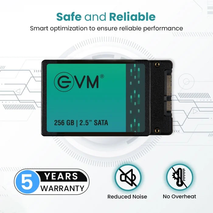 SSD 256GB EVM SATA3