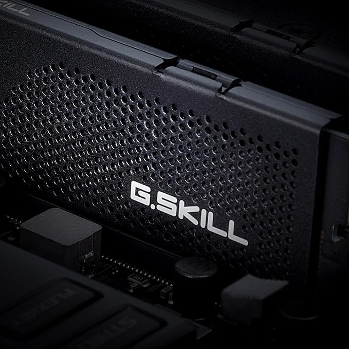 32GB*2 DDR-5 GSKILL 6000MHZ FLARE CL36