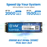 SSD 256GB EVM NVME - Image 5