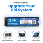 SSD 256GB EVM NVME - Image 2